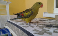 20140501_182114.jpg