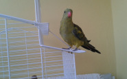20140501_182142.jpg