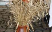 img_8923.jpg