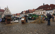 img_8903.jpg