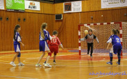 hadzana_ahojbardejovsk_turnaj_(1).jpg