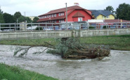 oro_4.jpg