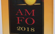 amfo2018 (3).JPG