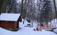 jazierko (2).JPG