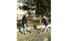 Výzva: Zasaď si svoj strom, pomôž zemi dýchať