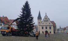 Vianočný strom už zdobí bardejovské námestie