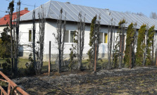 Po vypaľovaní suchej trávy ostali zhorené aj okrasné stromy