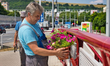 Mesto Prešov rozkvitne, vysadia viac ako 1000 kusov rastlín