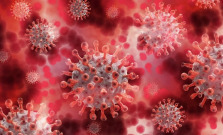 Infekcia koronavírusu znova zvyšuje nadúmrtnosť na Slovensku, v októbri to bola štvrtá najčastejšia príčina úmrtí
