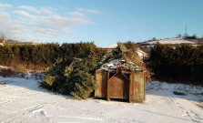 Bardejovčania sa môžu svojho vianočného stromčeka zbaviť ekologicky aj tento rok