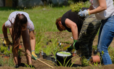 Košická župa opäť spúšťa participatívny rozpočet, tentoraz finančne podporí zelené projekty