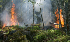 Hasiči varujú pred zvýšeným nebezpečenstvom vzniku požiarov v lesoch
