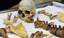Vo Veľkom Šariši našli časť ľudskej kostry