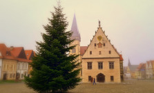 Na námestí osadili vianočnú jedličku: Ako vznikla tradícia vianočných stromčekov