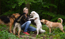 VIDEO |  SOS Psíky v Lukavici končí. Karanténu a odchyt psov v Bardejove bude riešiť združenie Druhá Šanca