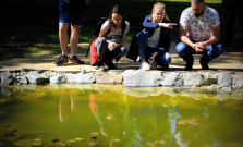 V Mestskom parku v Košiciach vybudovali jazierko pre rozmnožovanie žiab