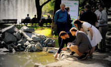 Jazierko pre žaby v mestskom parku v Košiciach pre vandalizmus ohradia