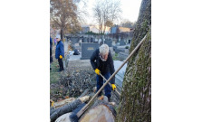 V areáli košického židovského cintorína pomáhali dobrovoľníci