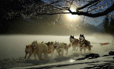 V najchladnejšej lokalite Slovenska sa chystajú medzinárodné preteky psích záprahov