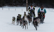 Medzinárodné majstrovstvá Slovenska v Pretekoch psích záprahov