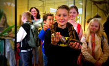 Školáci majú cez prázdniny vstup do Zoodomu košickej ZOO zdarma