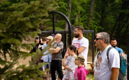 ZOO KE (9).jpg