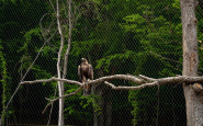 ZOO KE (13).jpg