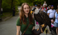 GALÉRIA | Sezónu v košickej zoo otvoril orliak Nixon