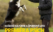 Psíčkari, pozor! Košice privítajú športových chlpáčov aj skúsených trénerov
