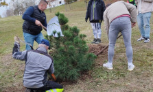 VIDEO | V Parku filantropov pribudli nové stromčeky