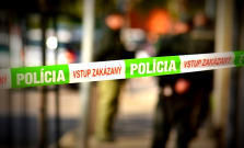 Z kabelky na nákupnom vozíku ukradol peňaženku