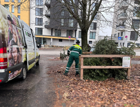 Kam s vianočným stromčekom? V Košiciach začínajú so zberom