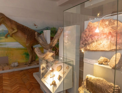 Vydajte sa na cestu prírodou Karpát vo Východoslovenskom múzeu