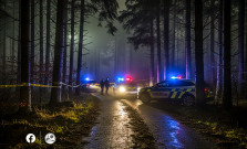 Tragédia v Košiciach: nezvestný muž neprežil útok, telo našli v lesnom poraste