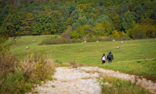 Košický kraj vedie v digitálnom územnom plánovaní