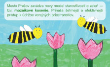 Prešov začal s kosbou verejnej zelene