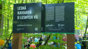 VIDEO | V Šaci pribudla Kaviareň u lesných víl: oddych, káva a lesný pokoj