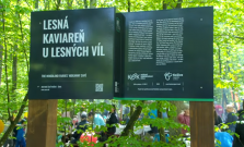 VIDEO | V Šaci pribudla Kaviareň u lesných víl: oddych, káva a lesný pokoj