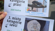 Košická ZOO bodovala v prestížnej súťaži Biely slon. Získala dve významné ocenenia