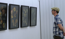 VIDEO | Abstrakcie, emócie a prírodné materiály. V Košiciach vystavuje Walther Smeitink-Mühlbacher