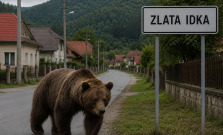Pozor na medveďa! Obec Zlatá Idka upozorňuje obyvateľov aj turistov