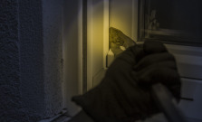 68-ročnú ženu v Bardejove mal udierať páčidlom do hlavy. Keď utiekla, dobehol ju