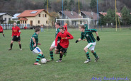img_1772.jpg
