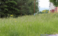 img_4754.jpg