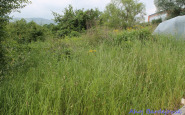 img_4763.jpg