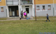 img_4772.jpg