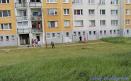 img_4773.jpg